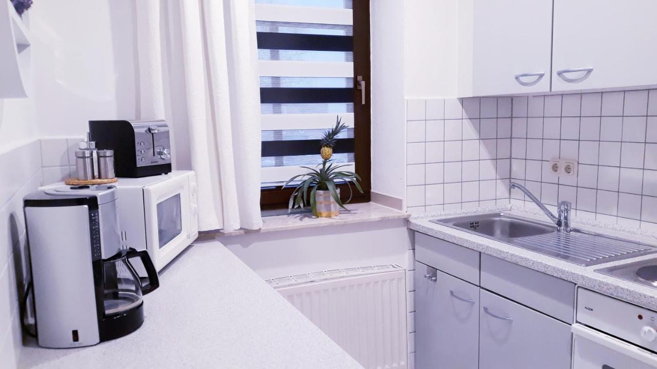 Apartments - Lehmanns Ferienwohnungen Oberwiesenthal Exterior foto