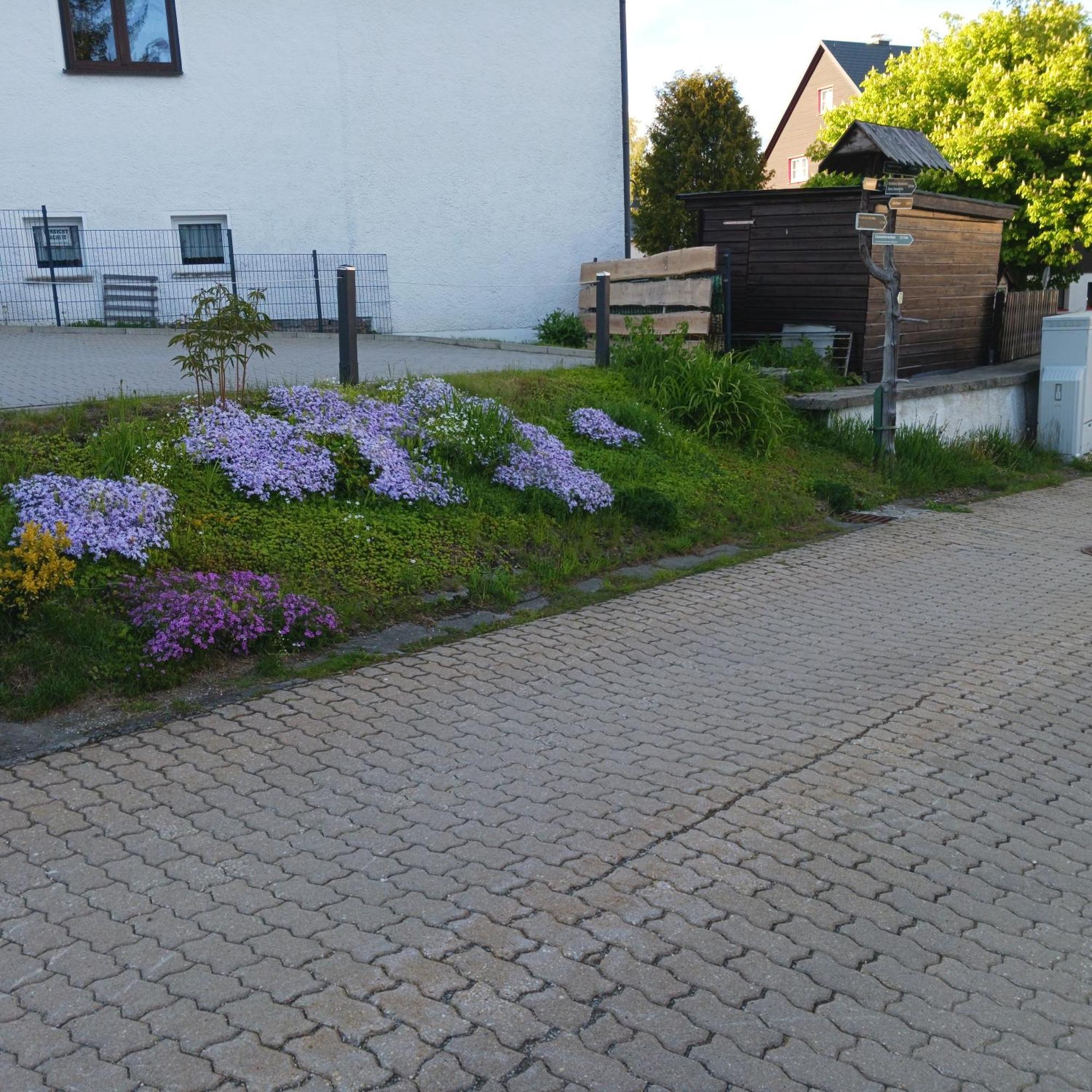 Apartments - Lehmanns Ferienwohnungen Oberwiesenthal Exterior foto